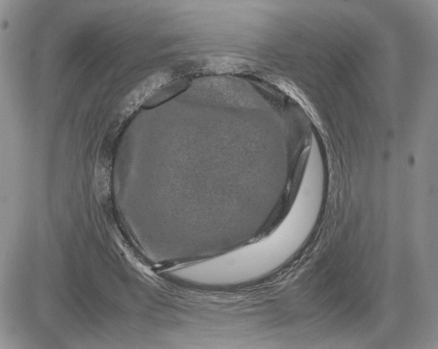 X0000081450393200701261918