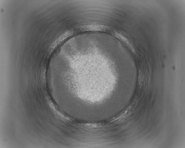 X0000081450394200701261918