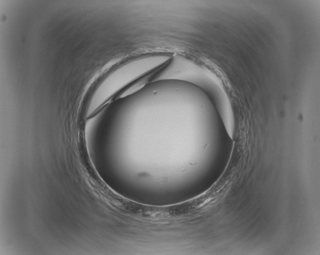 X0000081450395200701261918