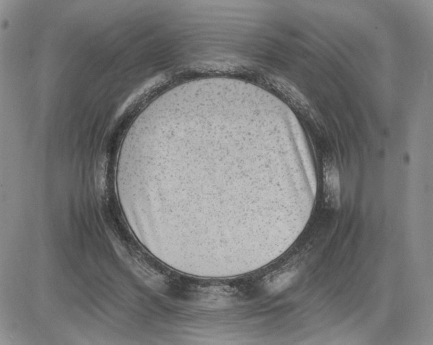 X0000081450396200701261918