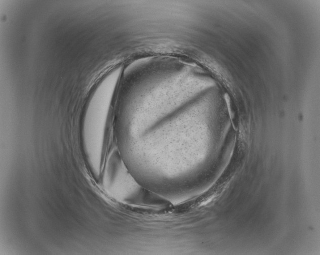 X0000081450397200701261918