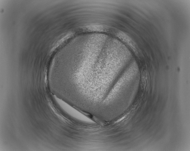 X0000081450398200701261918