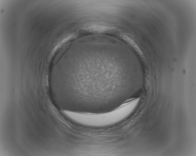 X0000081450399200701261918