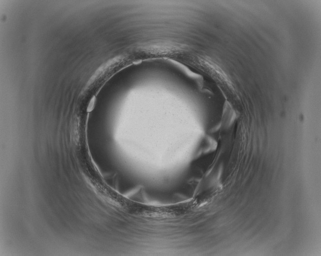 X0000081450400200701261918