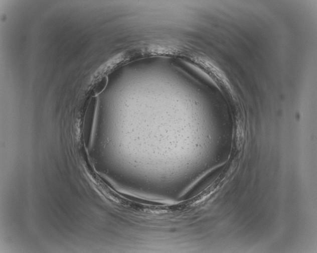 X0000081450401200701261918