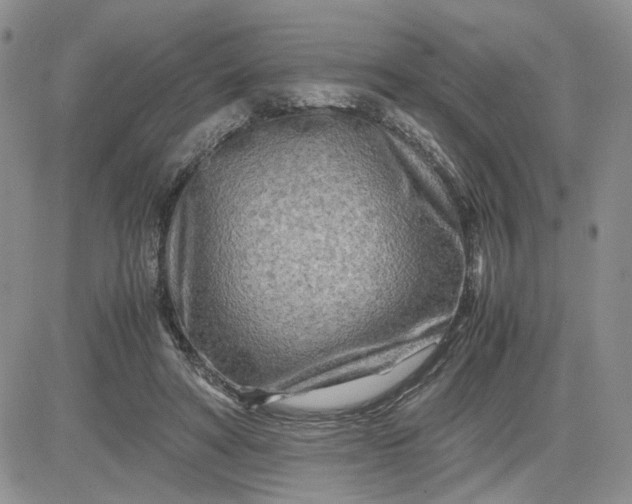 X0000081450402200701261918