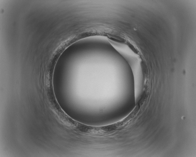 X0000081450403200701261918