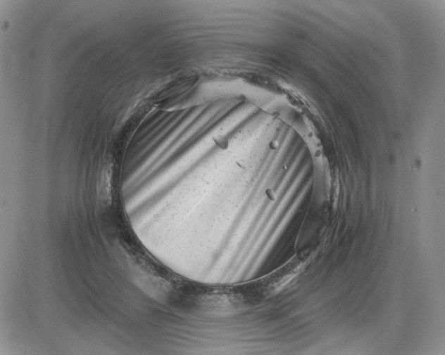 X0000081450404200701261918