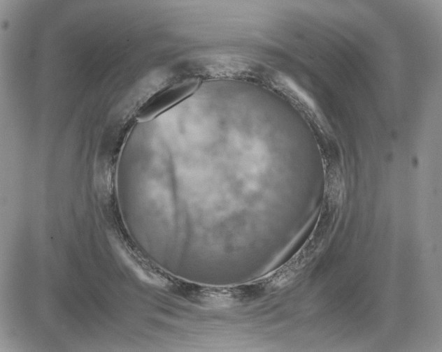 X0000081450405200701261918