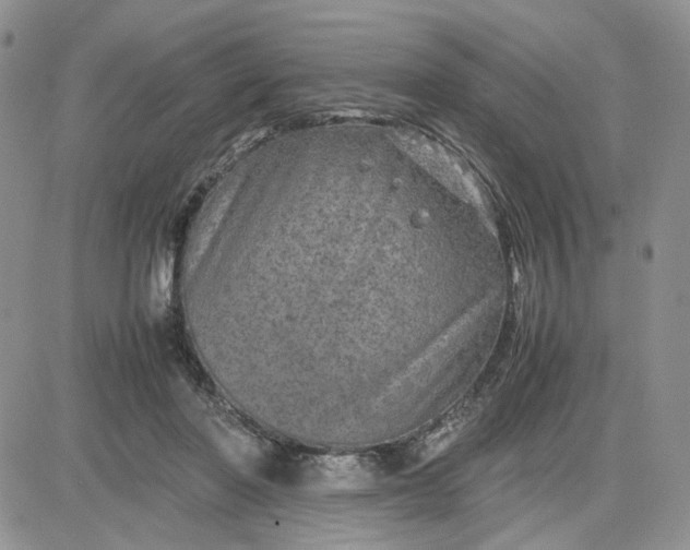 X0000081450406200701261918