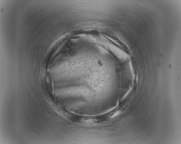 X0000081450407200701261918