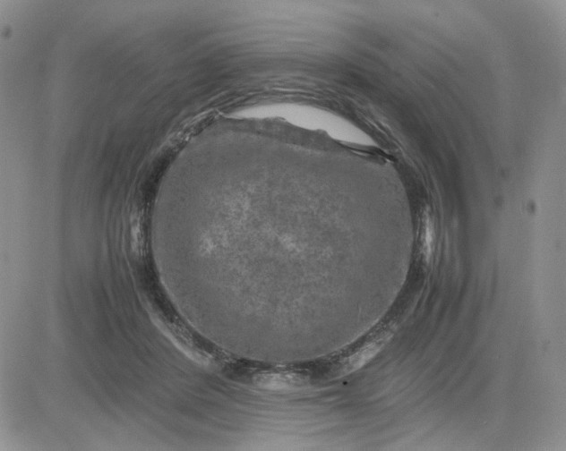 X0000081450408200701261918