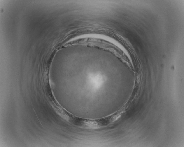 X0000081450409200701261918