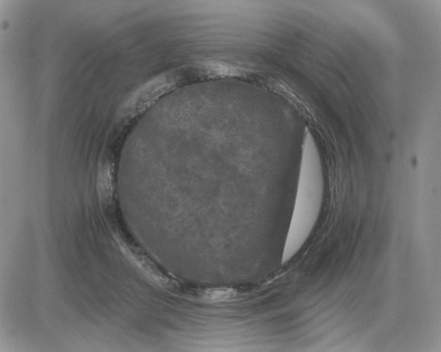 X0000081450410200701261918