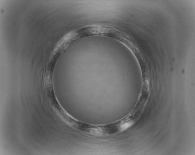 X0000081450411200701261918