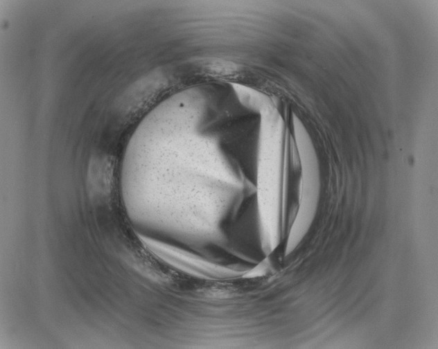 X0000081450412200701261918