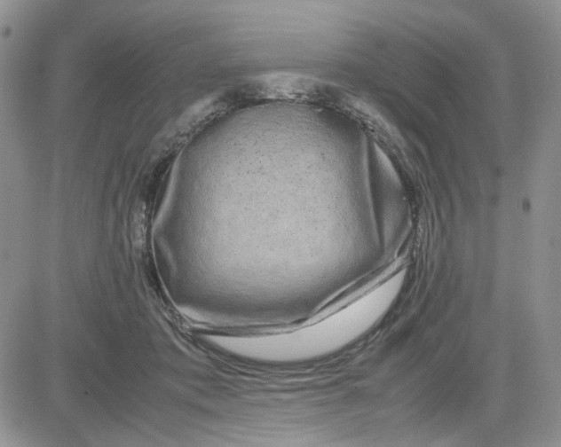 X0000081450413200701261918