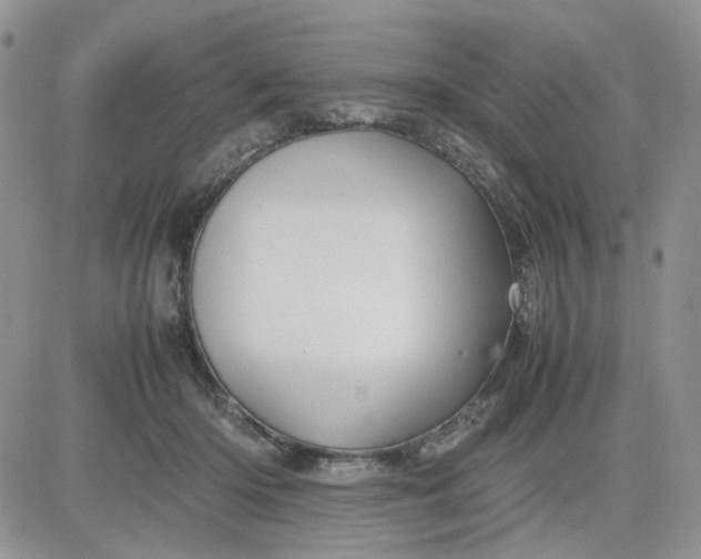 X0000081450414200701261918