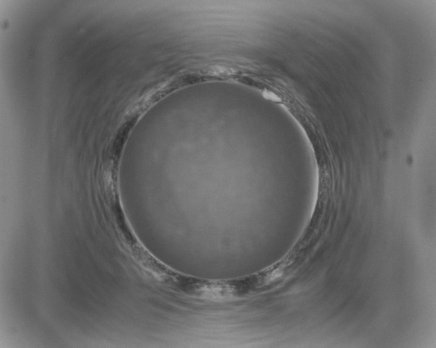 X0000081450415200701261918