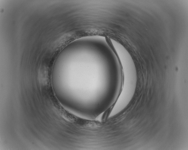 X0000081450416200701261917