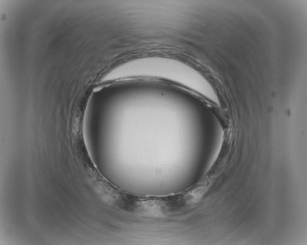 X0000081450417200701261917