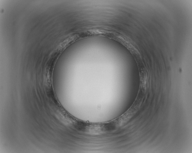 X0000081450418200701261917