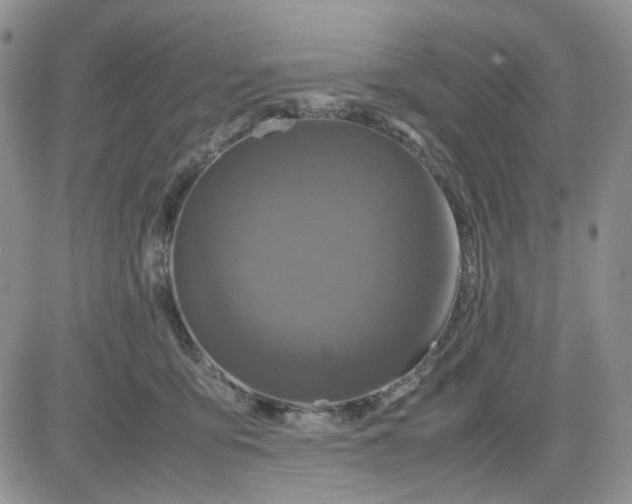 X0000081450419200701261917