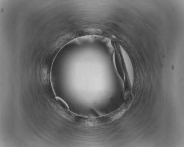 X0000081450420200701261917