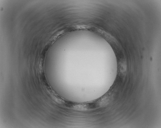 X0000081450422200701261917