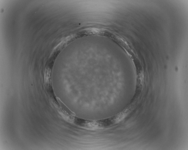 X0000081450423200701261917