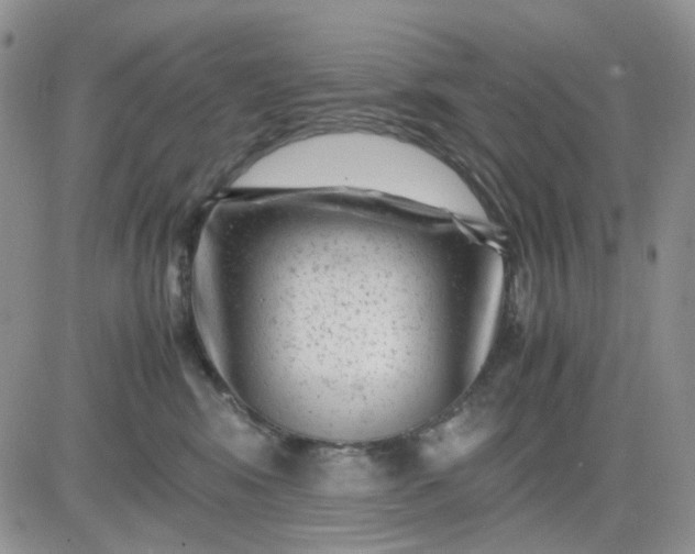 X0000081450424200701261917