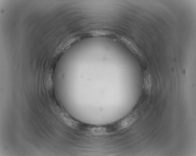 X0000081450426200701261917