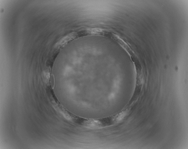 X0000081450427200701261917