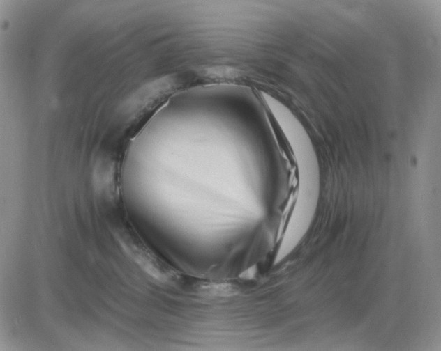 X0000081450428200701261917