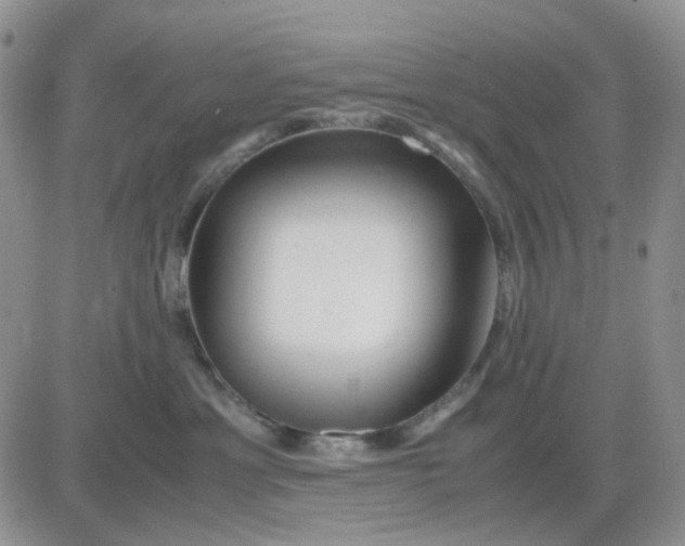 X0000081450429200701261917