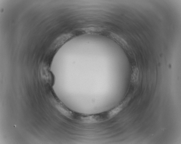 X0000081450430200701261917