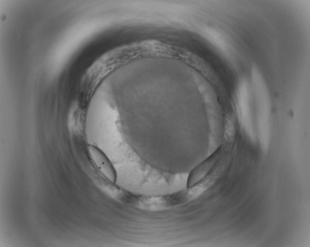 X0000081450431200701261917