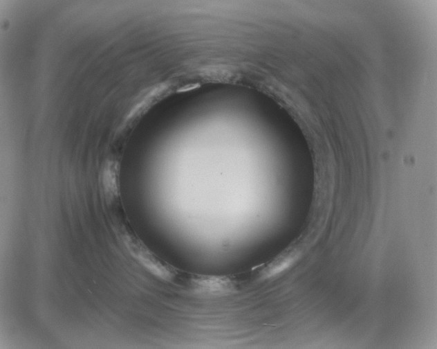 X0000081450432200701261917