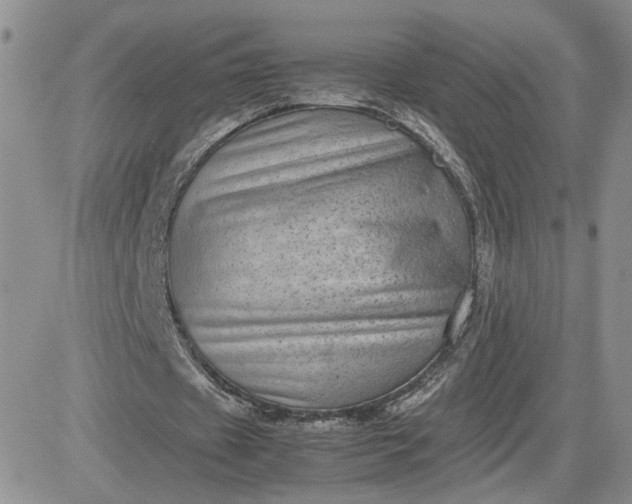 X0000081450433200701261916