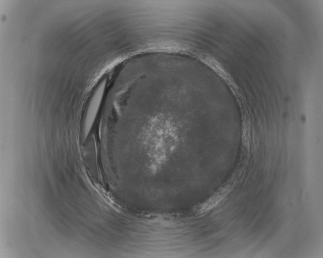 X0000081450434200701261916