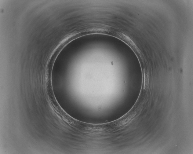 X0000081450435200701261916