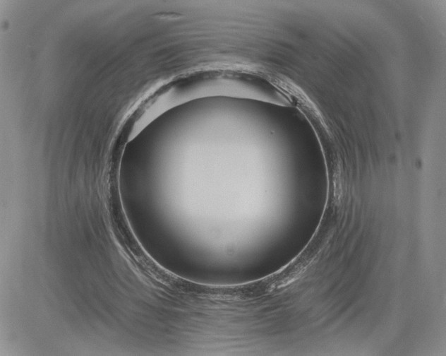 X0000081450436200701261916