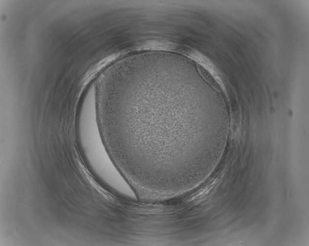 X0000081450437200701261917