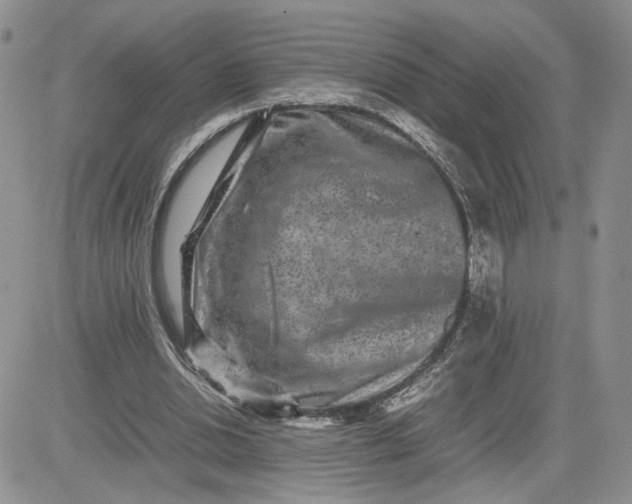 X0000081450438200701261917