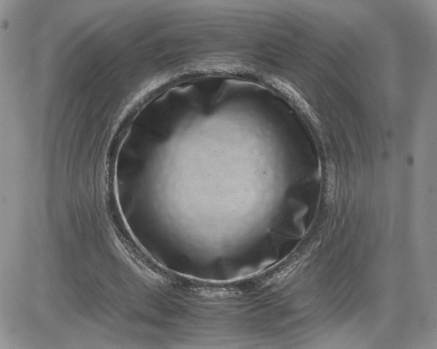 X0000081450439200701261917