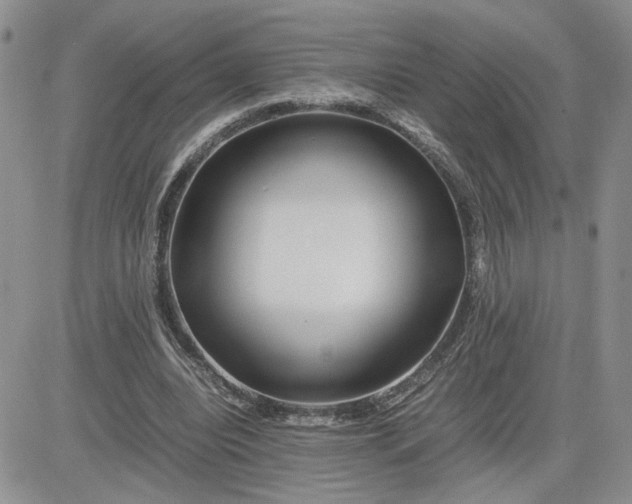 X0000081450440200701261917