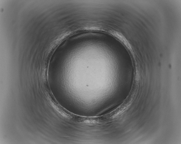 X0000081450441200701261917