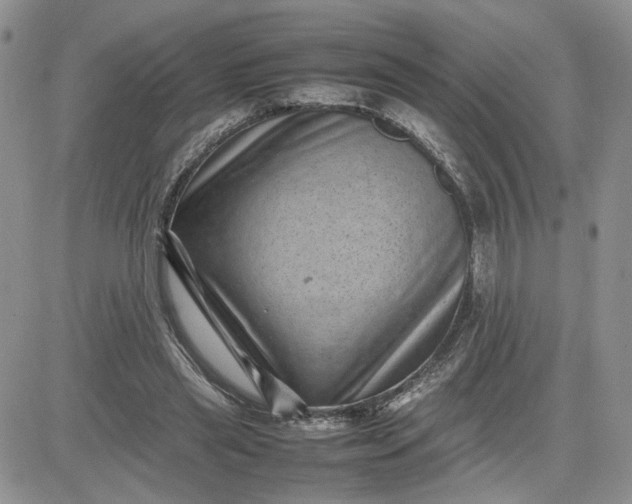 X0000081450445200701261917