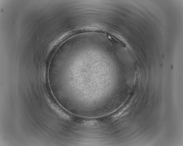 X0000081450446200701261917