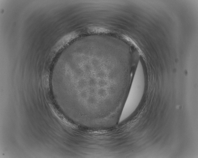 X0000081450447200701261917